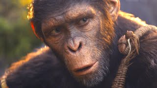 The Ending Of Kingdom Of The Planet Of The Apes Explained [upl. by Ynhoj]