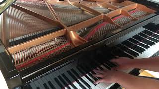 Tom Rosenthal  Go Solo Honig im Kopf Soundtrack Piano Cover [upl. by Layod889]