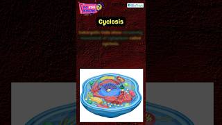 Cyclosis  Eukaryotic Cells  Cell Unit of Life  Class 11 Biology  Biology Boons neetbiology [upl. by Lucky]