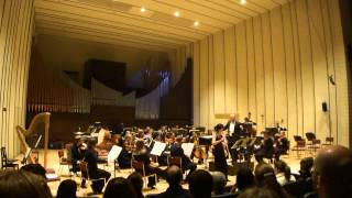 Xuan Li Jules Demersseman  Solo de Concert No6 Op82 [upl. by Kynthia]