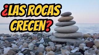 ¿Las Rocas pueden crecer como las Personas [upl. by Tri157]