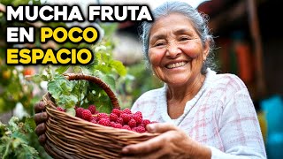 ¿Frutas en un Balcón Tenga Frutas de verano frescas y deliciosas [upl. by Byler671]