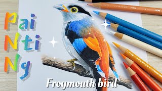 Drawing beautifull colour of bird  Frogmouth bird [upl. by Sadie]