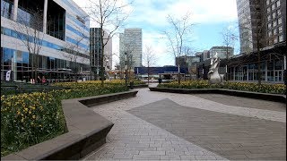 Walking in Amsterdam  ZuidasOud Zuid ⛅  The Netherlands  4K60 [upl. by Evilo]