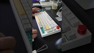 Epomaker Bluebird Switches EpoMaker mechanicalkeyboard keyboardswitches [upl. by Cohla]