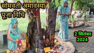 2 सितंबर 2024 somvati Amavasya Pooja  सोमवती अमावस्या की सरल पूजा विधि नियम जानें फेरी कैसे लगाएं [upl. by Arayt]