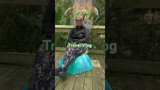 travel travelvlog florida nature love adventure vacation travelblogger travelling [upl. by Alicia]