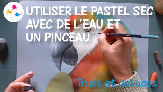 Tuto  utiliser le pastel sec avec de leau et un pinceau [upl. by Boylston558]