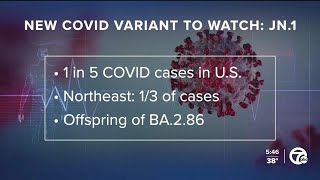 CDC reports JN1 COVID19 subvariant spreading quickly [upl. by Marcelia]