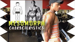 MESOMORPH CHARACTERISTICS  WHAT YOU MUST KNOW [upl. by Russian]