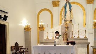 Wednesday of the 31st Week in Ordinary Time GOSPEL amp HOMILY  Rev Fr Danichi Hui PWU Chaplain [upl. by Silvio]