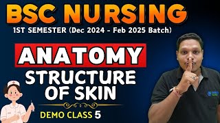 STRUCTURE OF SKIN  anatomy bsc nursing  bsc nursing 1st sem  anatomy BSC NURSING  BSC NURSING [upl. by Sarine49]