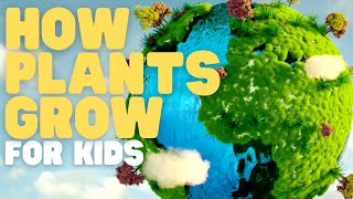 How Plants Grow for Kids  Learn about photosynthesis and what plants need to grow strong [upl. by Garratt]