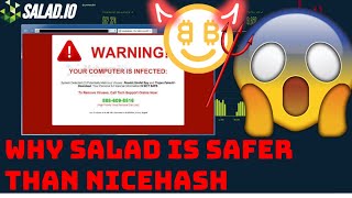 Saladio or Nicehash  Which is the Safest Miner [upl. by Bremble]