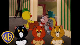 Tom y Jerry en Latino  ¡Los animalitos más lindos 🐣🐱🐶  WBKidsLatino [upl. by Jemmie]