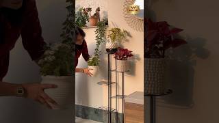 Planter standDecor home with plantsHomedecor youtube plants plantstand homedecor diwali [upl. by Noraha13]