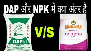 DAP vs NPK fertilizer full detail dap or npk में क्या अंतर हैDiammonium phosphate [upl. by Whitaker]