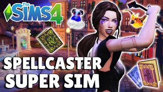 I Made The Most Powerful Spellcaster Possible  Super Sim Series 14 [upl. by Harwin]