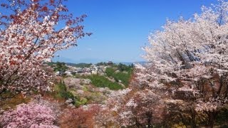 吉野山 一目千本桜 Mt Yoshino [upl. by Mcintosh]