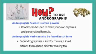 Benefits of Herbs Andrographis Herb [upl. by Orpah]