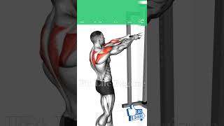 5 Best Resistance Band Shoulder Exercises for Bigger Stronger Delts [upl. by Mitman]