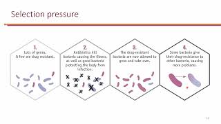 Nosocomial Pneumonia and InfluenzaPneumococcal Vaccines [upl. by Akemor61]