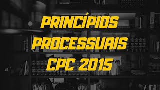 Teoria Geral do Processo  Princípios Processuais CPC [upl. by Eittak]