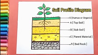 Soil Profile Diagram drawing  Layer of Soil drawing  How to draw layers of soil [upl. by Gnilyam]