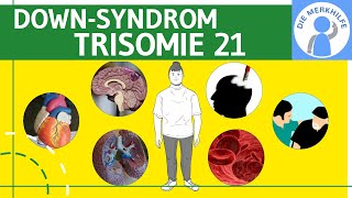 Down Syndrom  Trisomie 21  Definition Merkmale Ursachen amp Formen amp Unterscheidungen  Genetik [upl. by Quickel]