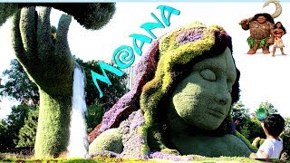 WOW THE REALLIFE TE FITIDISNEYS MOVIE MOANAHeart of Te fiti Family trip [upl. by Bubb589]