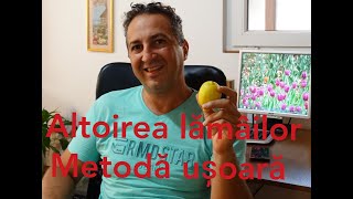 Altoire lamai  Grafting lemon [upl. by Nellda977]