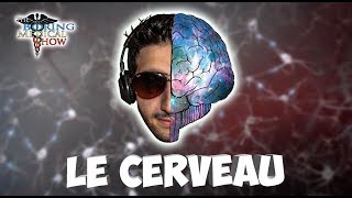 ANATOMIE  LE CERVEAU 🧠 [upl. by Kellina]