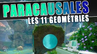 LES 11 GEOMETRIES PARACAUSALES  ACTIVITÉ PARANORMALE DESTINY 2 FR [upl. by Maren540]