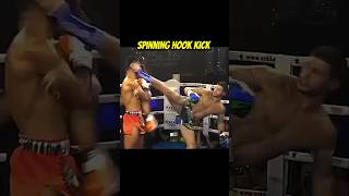 Knockouts kicks kickboxing martialarts kungfu karate [upl. by Polivy806]