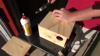 How To Build a Budgie Nest Box  BirdSpyAus [upl. by Pulchi418]