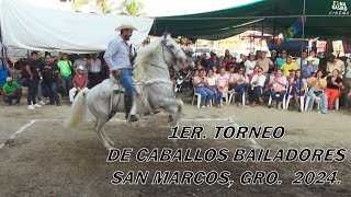 1ER Torneo de CABALLOS BAILADORES en San Marcos Gro 2024 [upl. by Pascal]