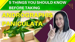 5 Things You Should Know Before Taking Andrographis Paniculata  A Thai Herbalist [upl. by Orland588]