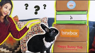 COMPARING ALL THE BUNNY SUBSCRIPTION BOXES 😱 [upl. by Lynnworth]