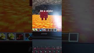 strider minecraft [upl. by Nilecoj]