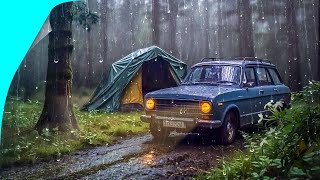 Heavy rain camping in the forest adventure deep sleep ASMR [upl. by Godart273]