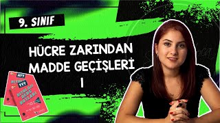 12 HÜCRE ZARINDAN MADDE GEÇİŞLERİ 1  9 SINIF  TYT BİYOLOJİ DERS NOTLARI  2024 [upl. by Royce]