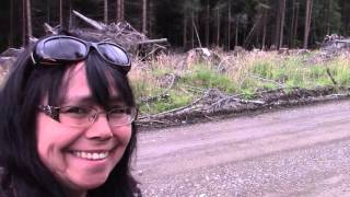 hunting Haida Gwaii style 2015 [upl. by Bever]