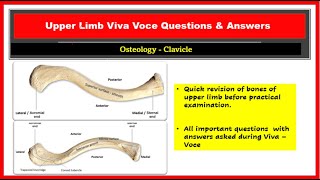 Anatomy Viva Voce  Clavicle  Side determination general features attachments  ossification [upl. by Schofield364]