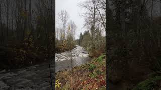 Mashel River Eatonville WA November pnw [upl. by Esther]