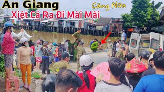 An Giang lại CĂNG ông lão 62T xiệt cá ra đi mãi mãi chỉ vì vài chục ngàn mưu sinh [upl. by Libyc]