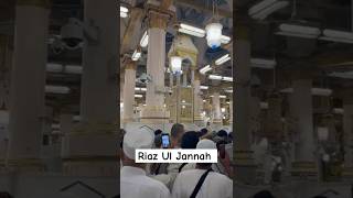 Riaz Ul Jannah Subhanallah ❤️ [upl. by Drawe]