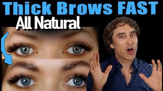 HOW to GROW YOUR EYEBROWS FAST AND THICK  All Natural Hair Growth [upl. by Kesley]