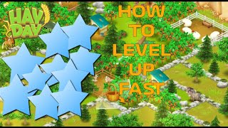 How To Level Up Fast In Hay Day 2022  5 Tips [upl. by Ianaj411]