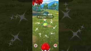 Shiny Sewaddle found in Pokémon Go shiny pokemon shinypokemon pokemongo [upl. by Kingdon53]