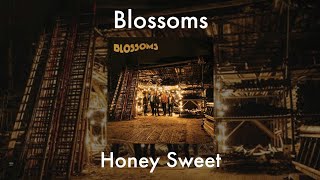 Blossoms  Honey Sweet Sub Español lasemanade Aniversario [upl. by Metcalf]